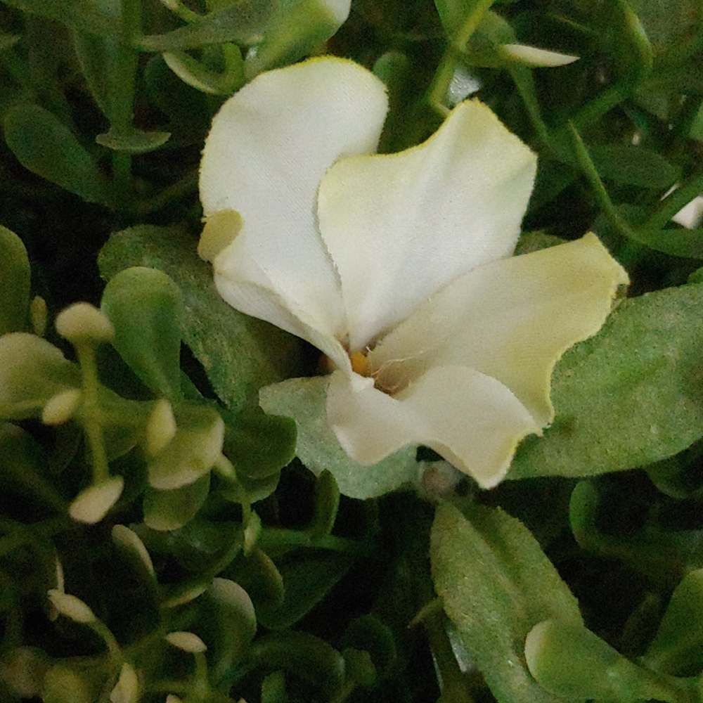 Meet your Posher, Jungyi